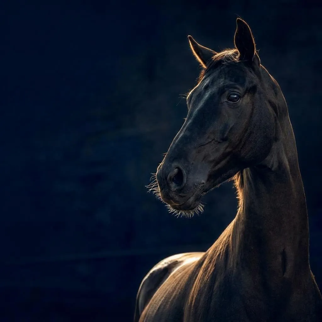 Tristan Tucker with a relaxed horse