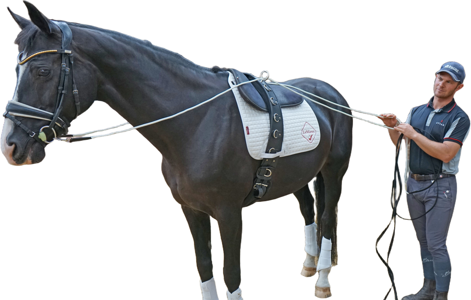 Tristan Tucker working a black horse on the double lunge in an indoor arena