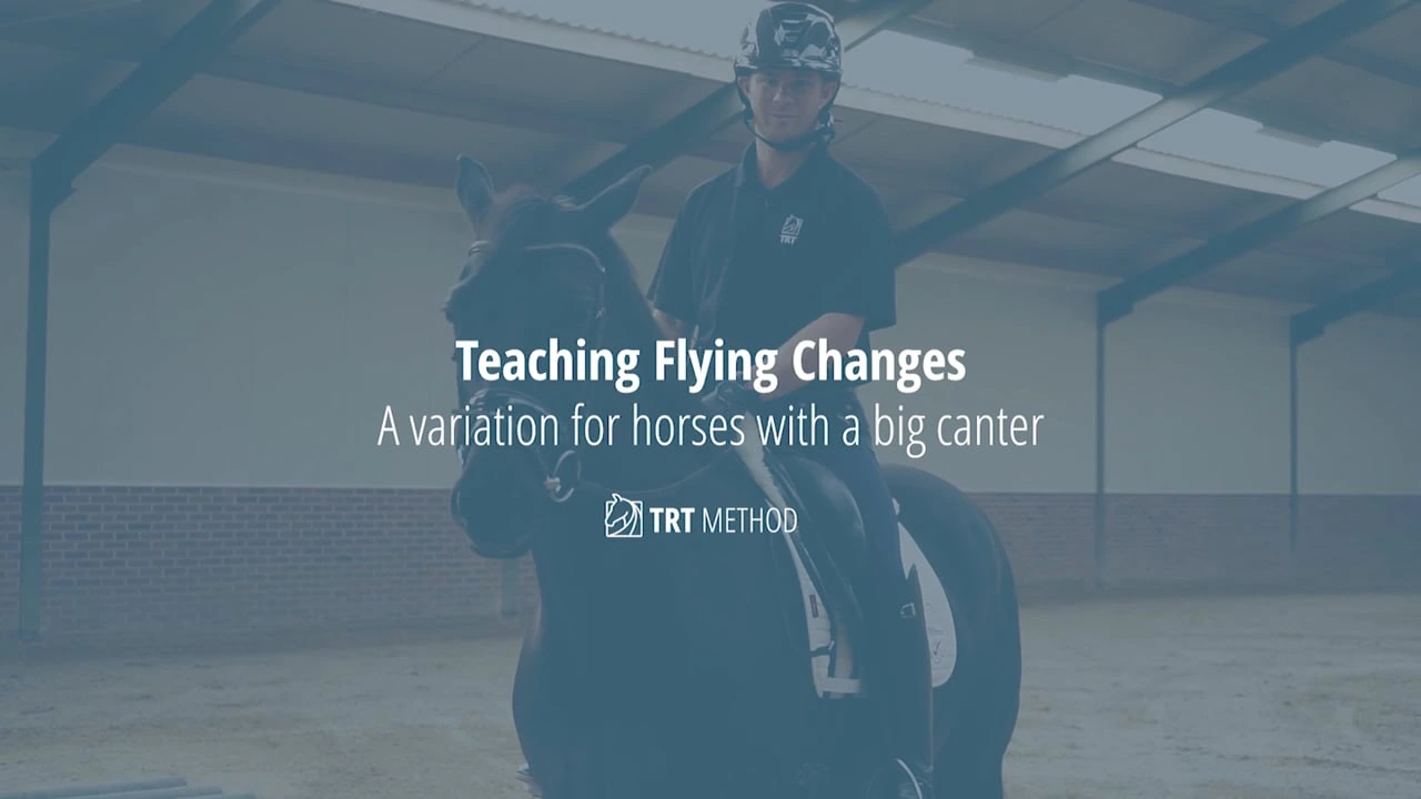Flying Changes Course lesson