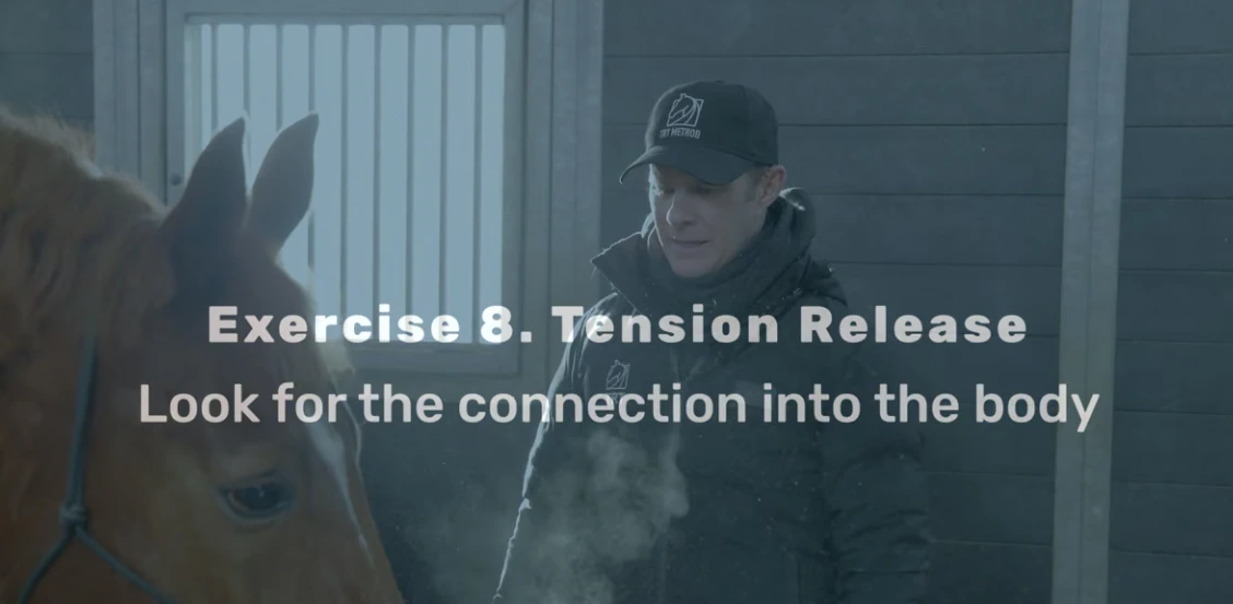 Reduce Tension from the Relaxing Stable Exercises