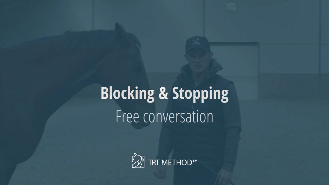 Tristan Tucker teaching Stopping and Blocking Course