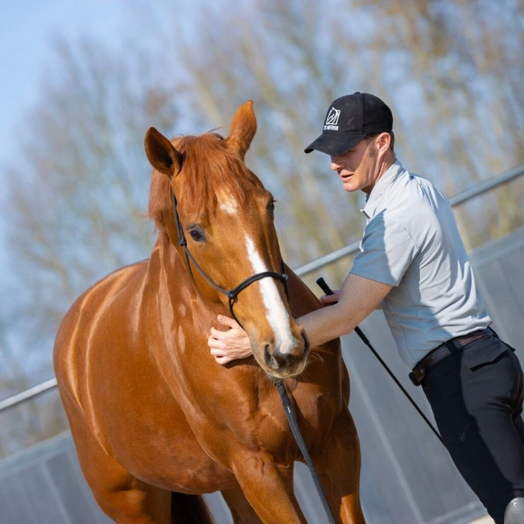 Tristan Tucker helping a horse find a relaxed posture