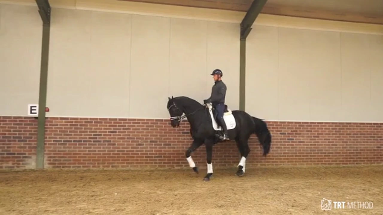 Piaffe Course lesson