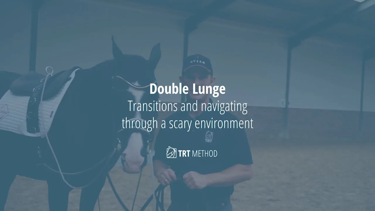 A horse on the double lunge working through transitions in a scary environment