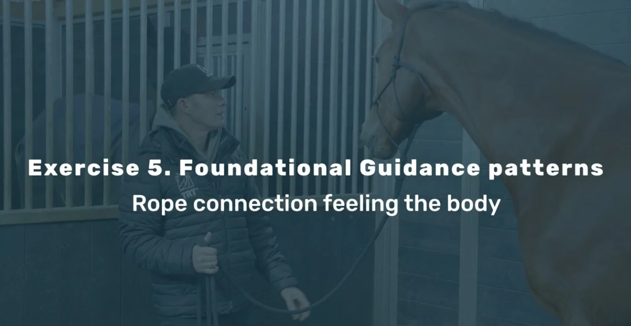 Foundational guidance patterns from the Relaxing Stable Exercises