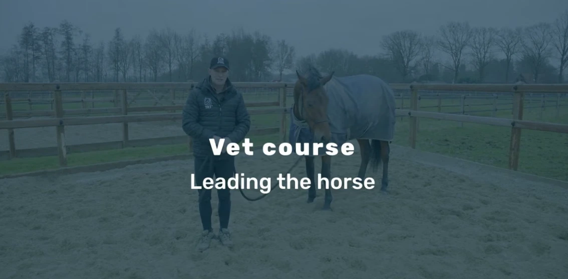 Leading with clarity from the Vet Course