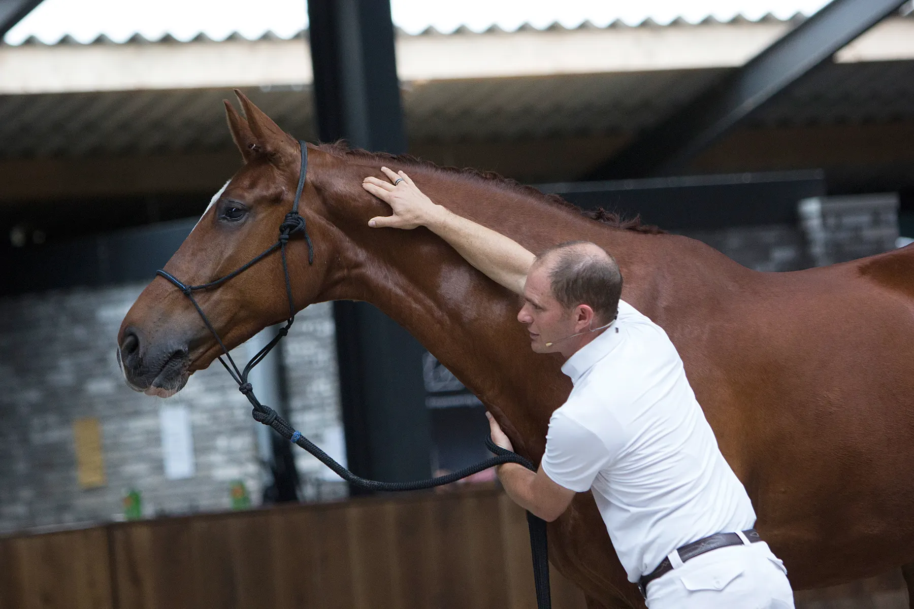Tristan Tucker resting a hand on a chestnut horse's neck during tension release