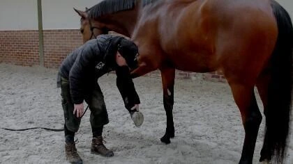 Farrier Course lesson