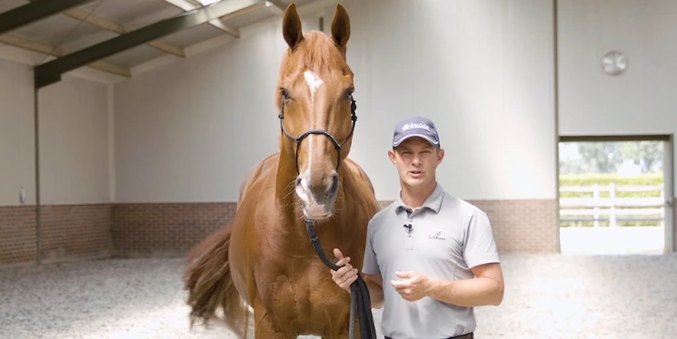 What does your horse need? lesson from the Master Your Mindset Course