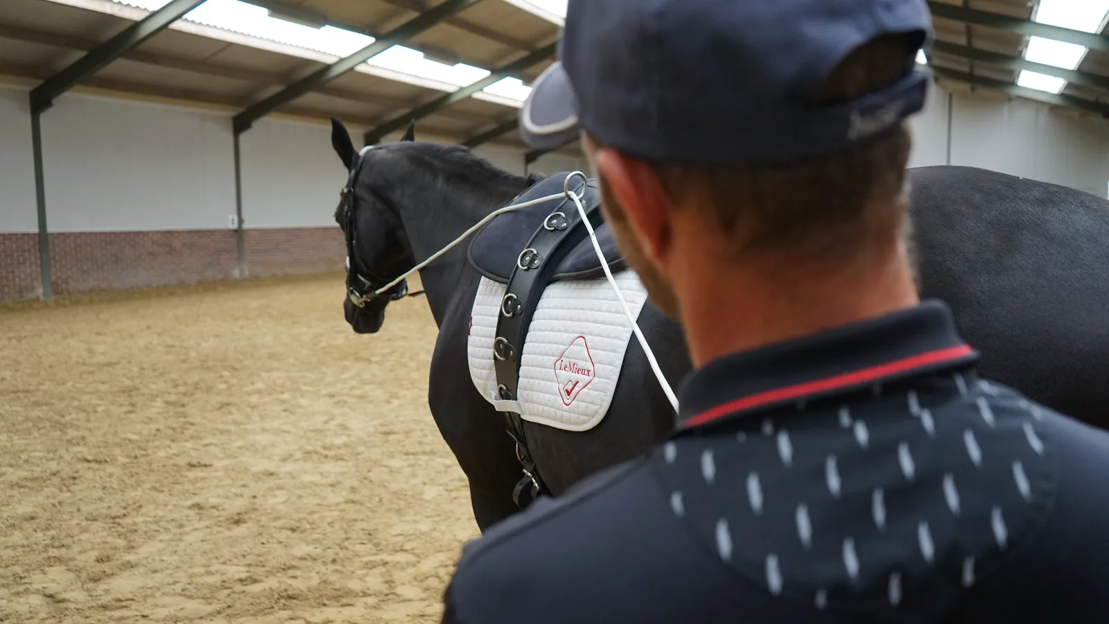 Tristan Tucker working a horse on the double lunge, seen from behind