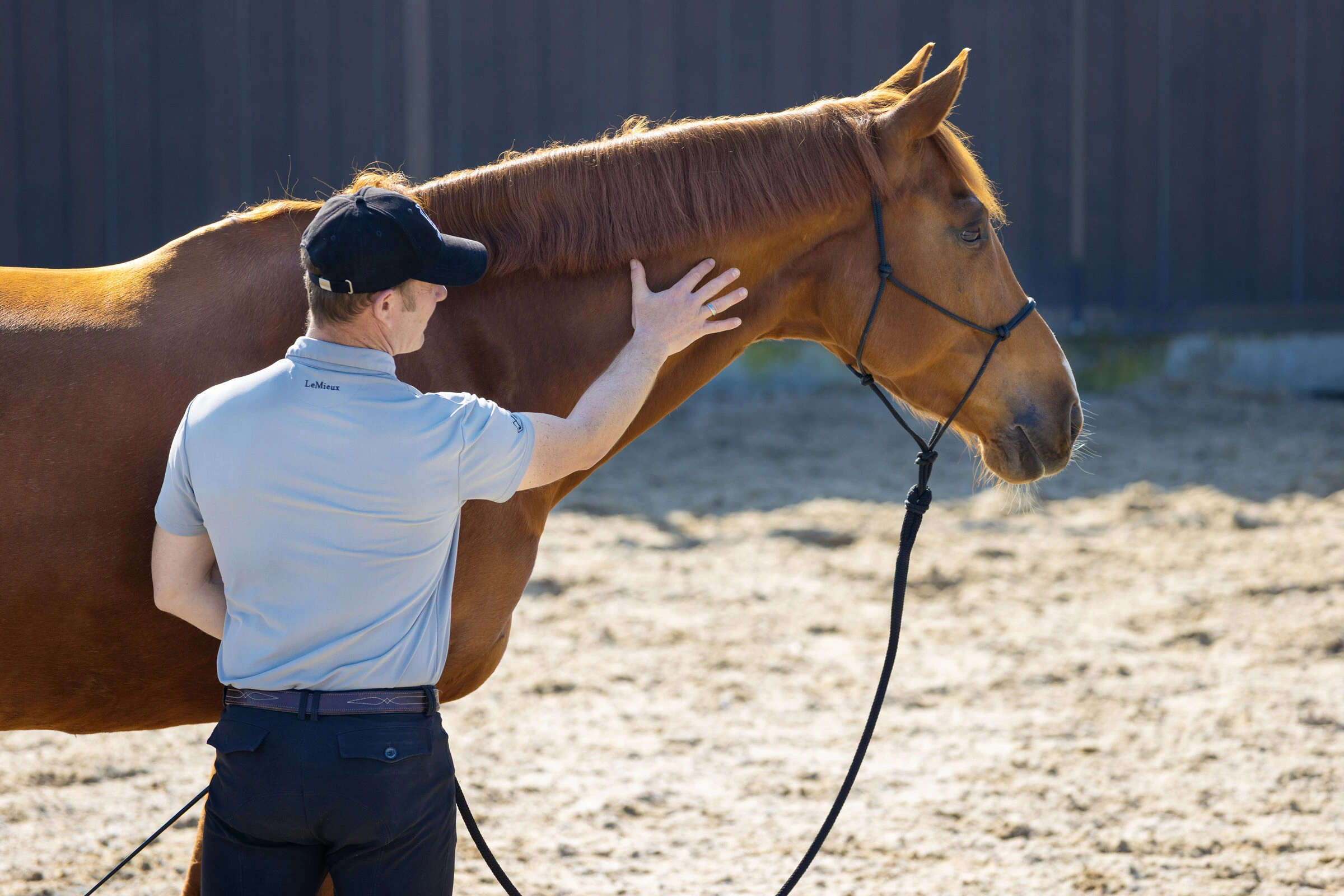 Tristan Tucker releasing tension in a chestnut horse's neck during a groundwork exercise