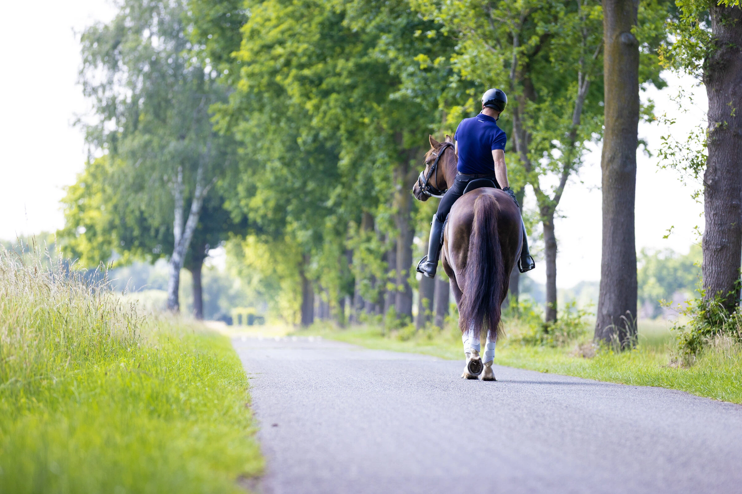 Rider walking a chestnut horse down a tree-lined country lane